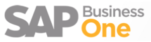 sap b1 review